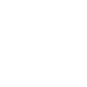 logo branco da empresa plannet franchise