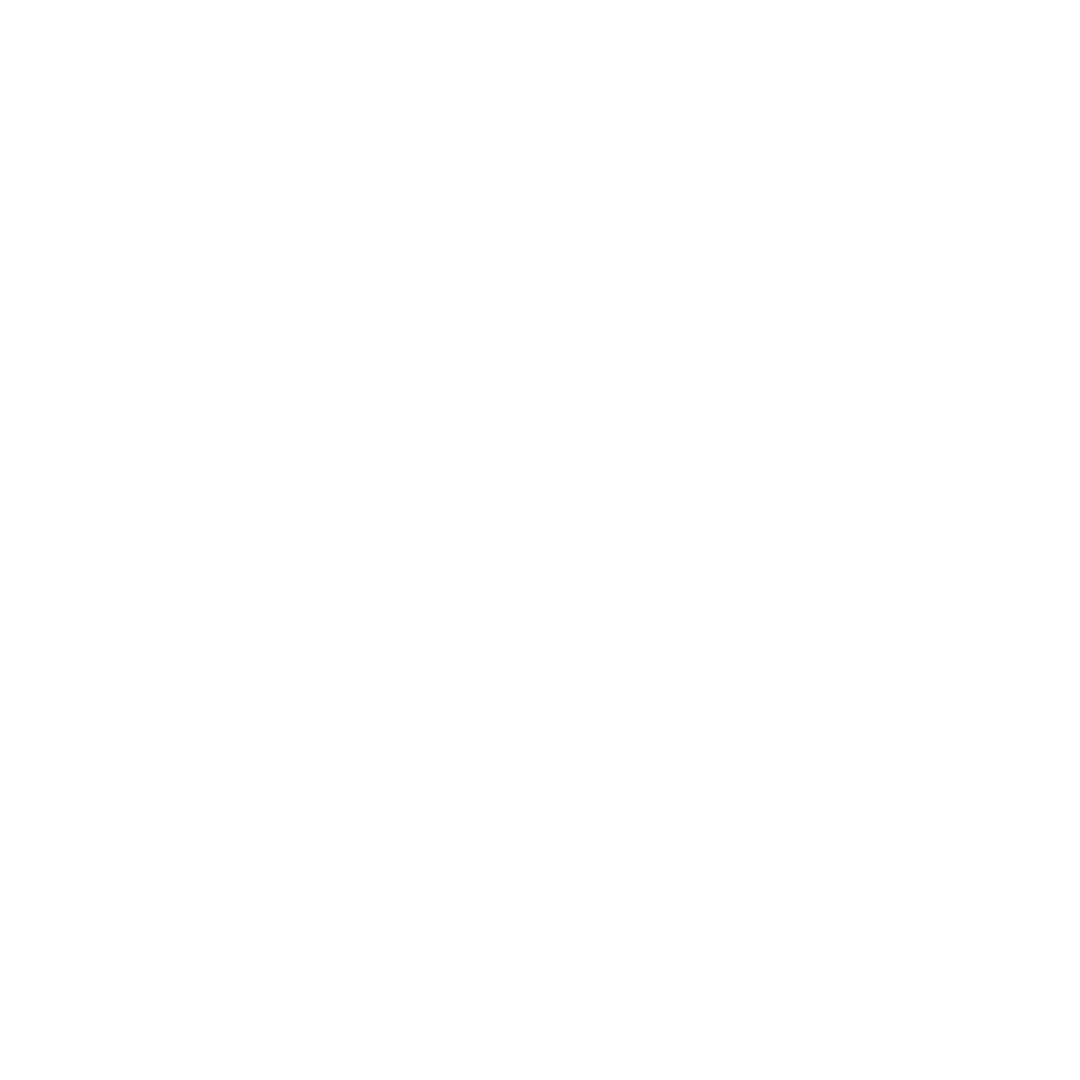 logo branco da empresa plannet franchise